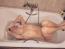iren 74945